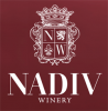 nadiv-logo-web